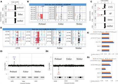 Trio-Based Low-Pass Genome Sequencing Reveals Characteristics and Significance of Rare Copy Number Variants in Prenatal Diagnosis